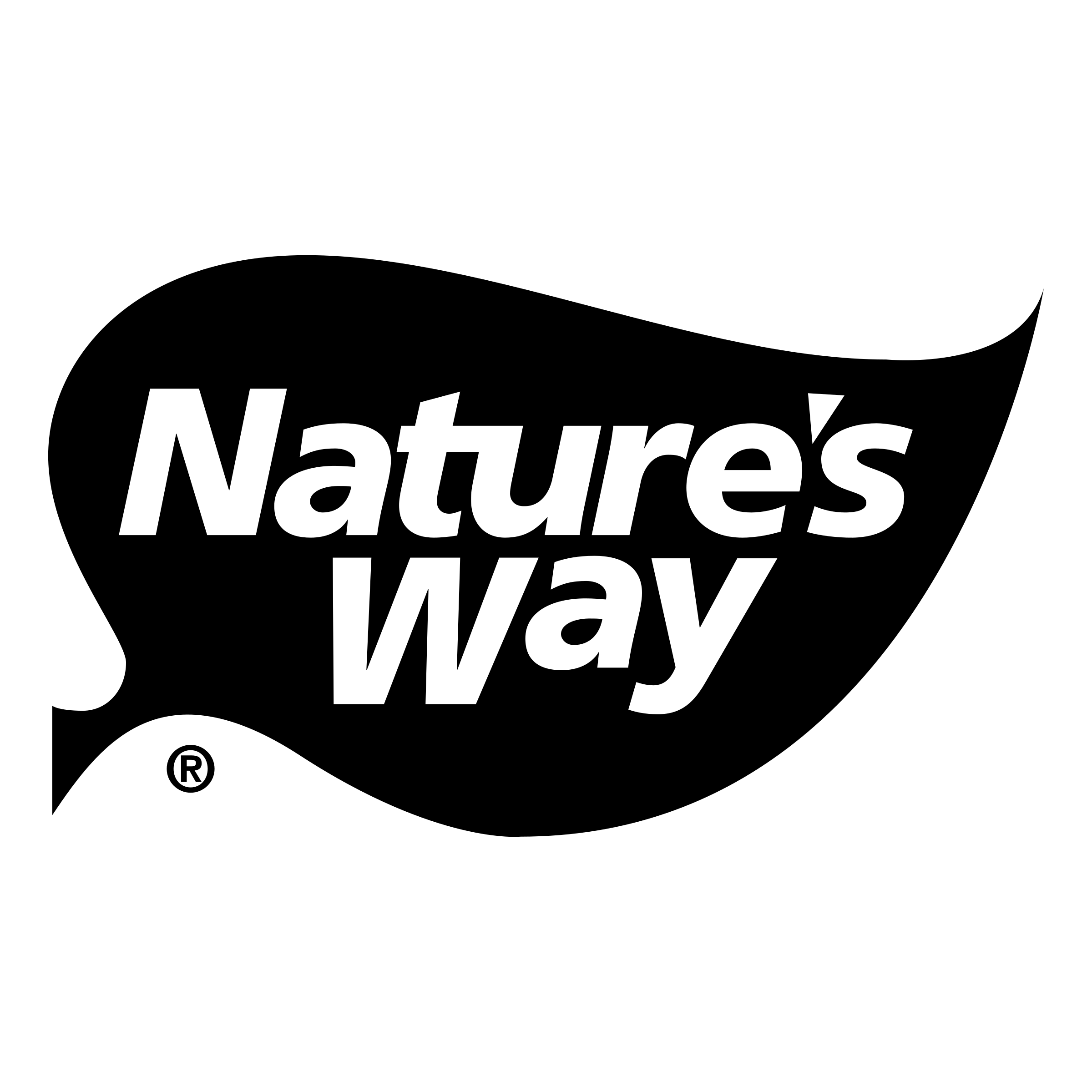 natures-way-logo-png-transparent.webp